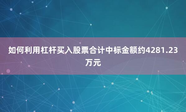 如何利用杠杆买入股票合计中标金额约4281.23万元