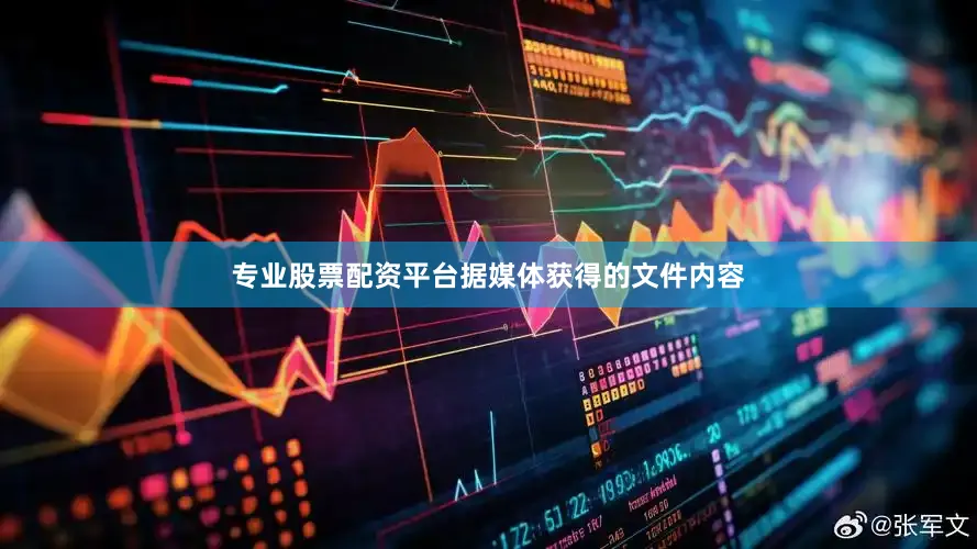 专业股票配资平台据媒体获得的文件内容