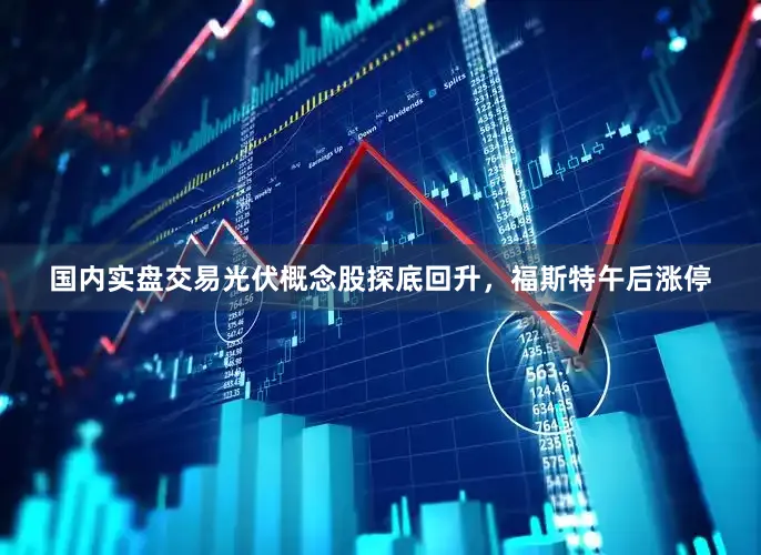 国内实盘交易光伏概念股探底回升，福斯特午后涨停