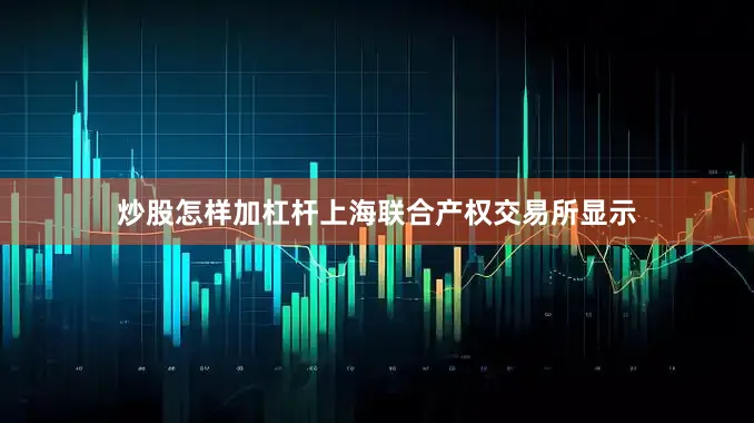 炒股怎样加杠杆上海联合产权交易所显示
