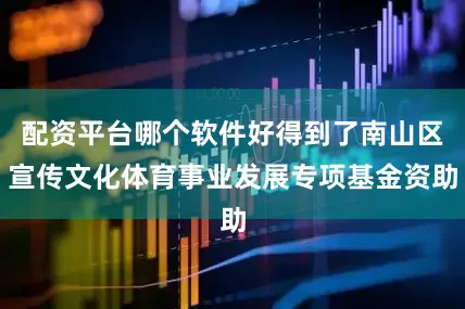 配资平台哪个软件好得到了南山区宣传文化体育事业发展专项基金资助