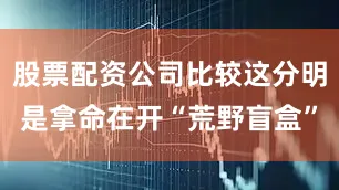 股票配资公司比较这分明是拿命在开“荒野盲盒”
